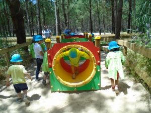 visita final do ano jardim de infância mundo das tropelias